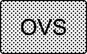 10 EUR OVS Gift Card